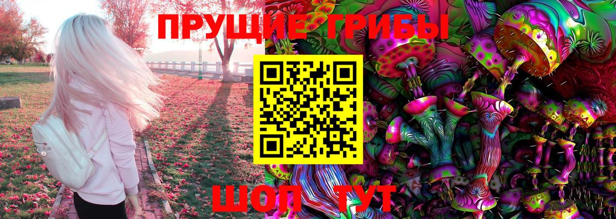 Псилоцибиновые грибы ЛСД Асино